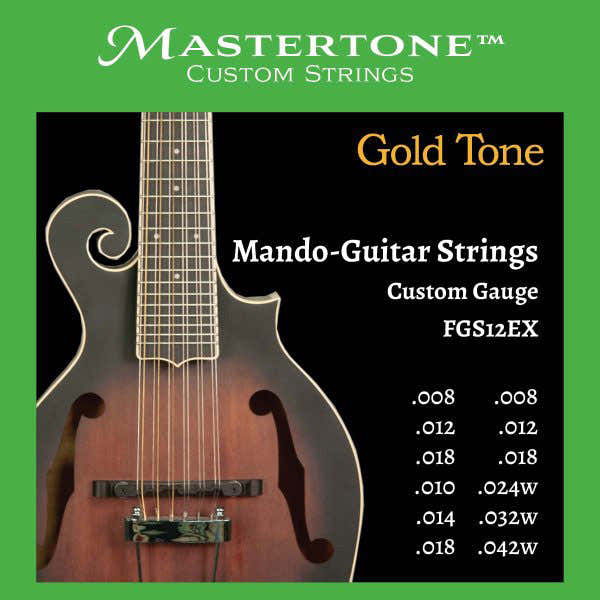 FGS12EX 12-snarige mando-gitaar in F-stijl, snaren