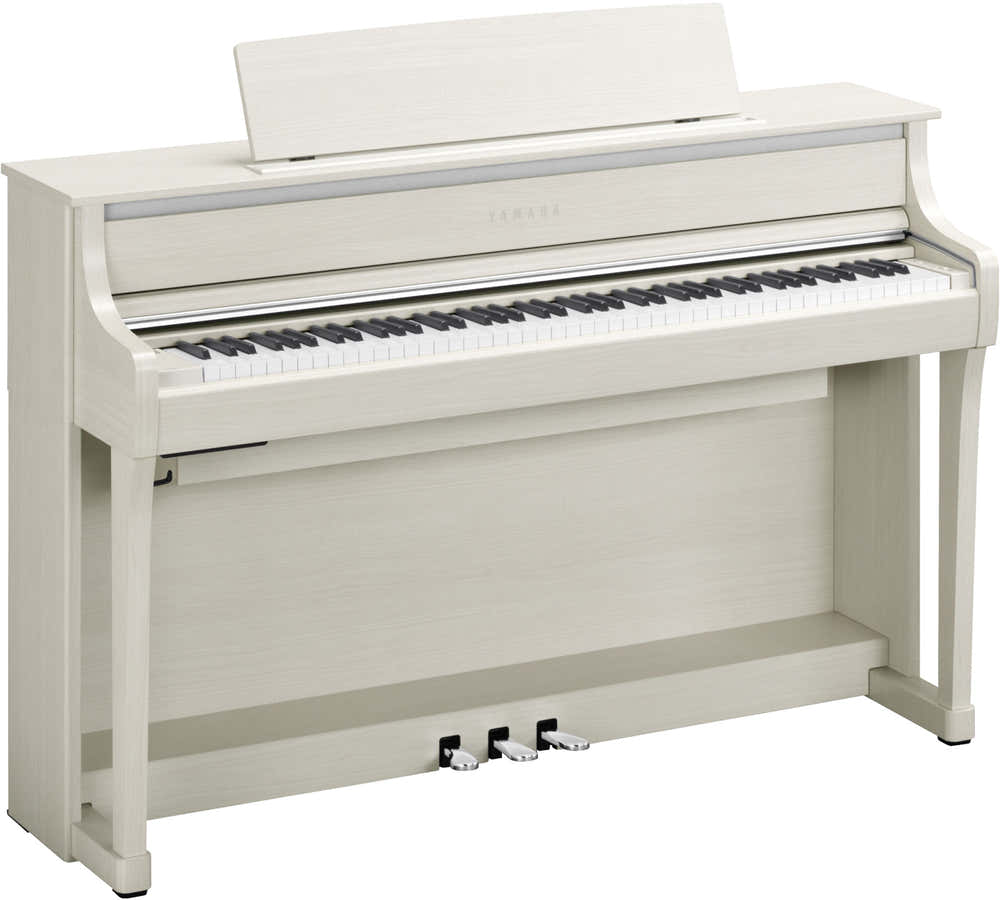 CLP875 Wit Berken