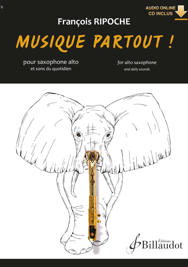 Francois Ripoche - Musique Partout