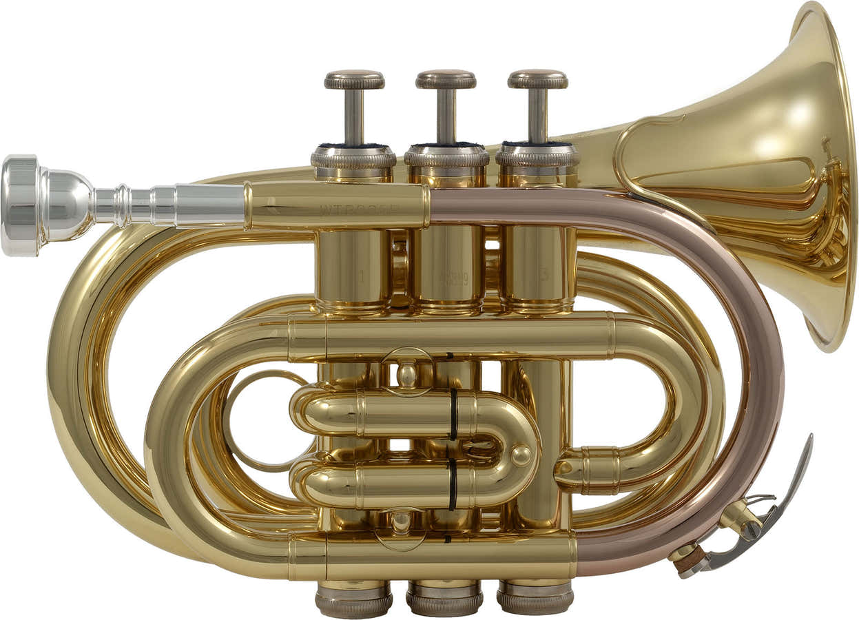 WTP200P - Bb vernist