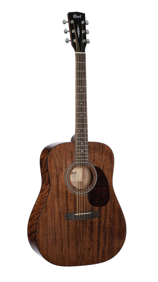 Guitare Earth60M Naturel