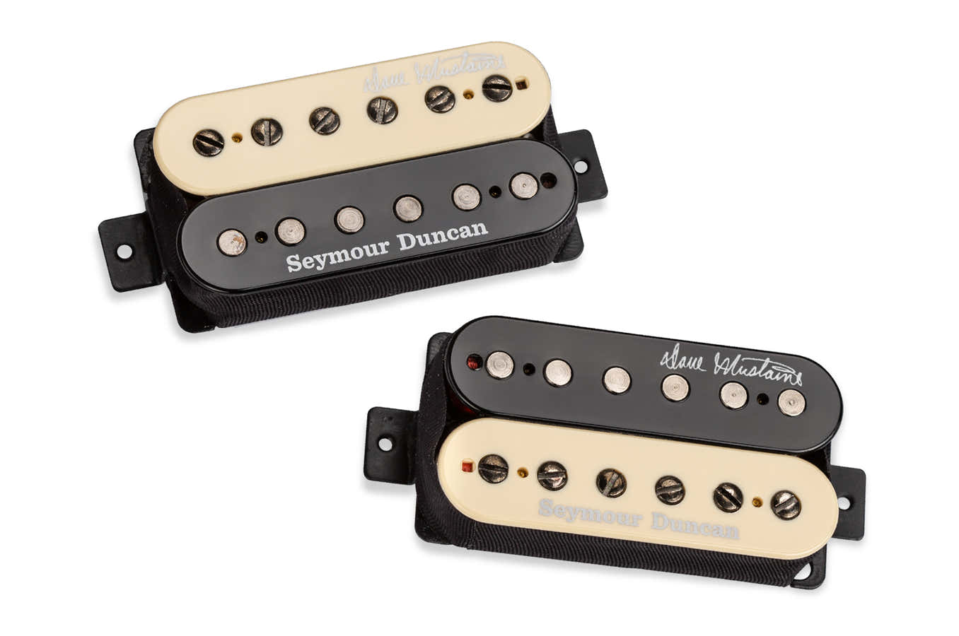 Set Mustaine Thrash Factor Zebra