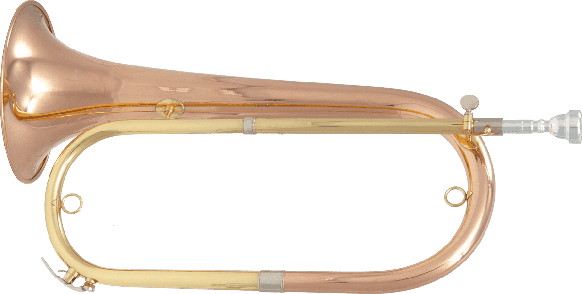 BUGLE SIB - VARNISHED PINK COPPER - GIGBAG