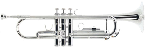 Woodbrass WTP400S - Bes Verzilverde