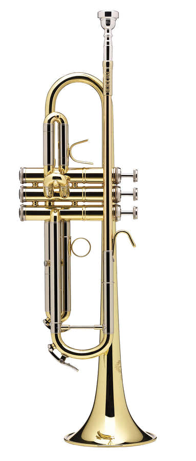 Prodige Bes Gelakt (Omgekeerde Buis) - BS210LR-1-0