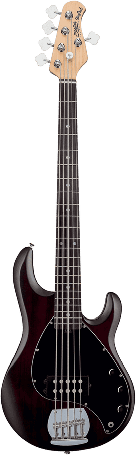 Stingray5 In Walnut Satin 5-String