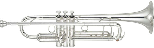 YTR8335S Xeno Bes Verzilverde