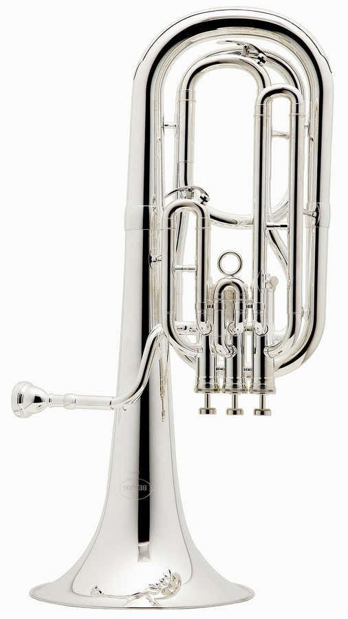 Prodige Bes Verzilverd - BE157-2-0