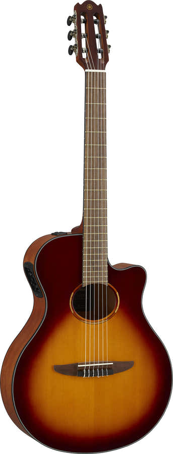 Ntx1 Bruin Sunburst