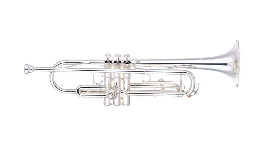 YTR5335GSII Bes Verzilverde