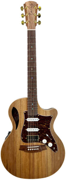 Cole Clark Tl2Ec-Blbl-Hss Case