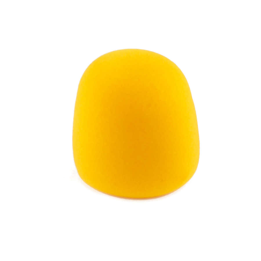 WS02 Geel