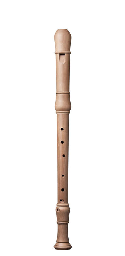 Studio Tenor Perenhout 1501