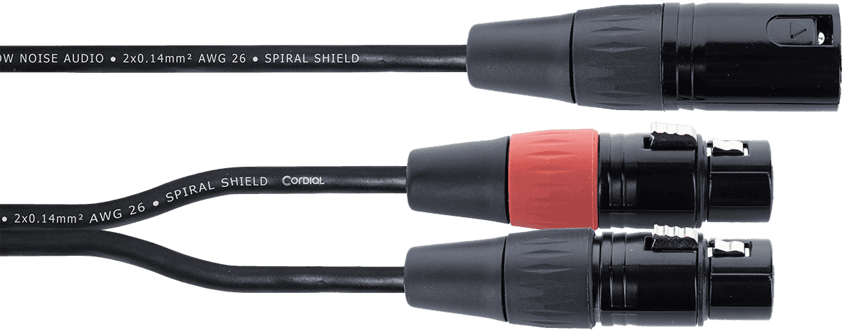 Y-Kabel XLR-Stekkers / 2 XLR-Bussen 30 CM