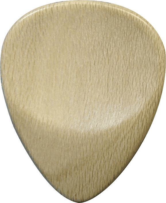 Plectrum Hulst