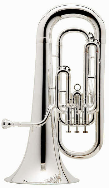 Prodige Bes Verzilverd - BE162-2-0