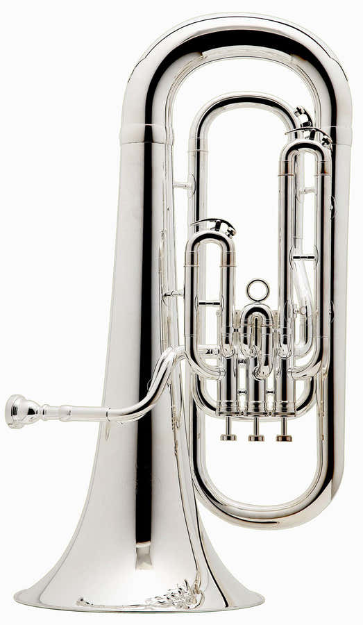 Prodige Bes Verzilverd - BE162-2-0