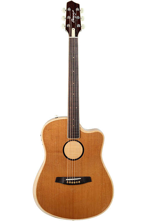 Aeg-1 Getorrificeerd