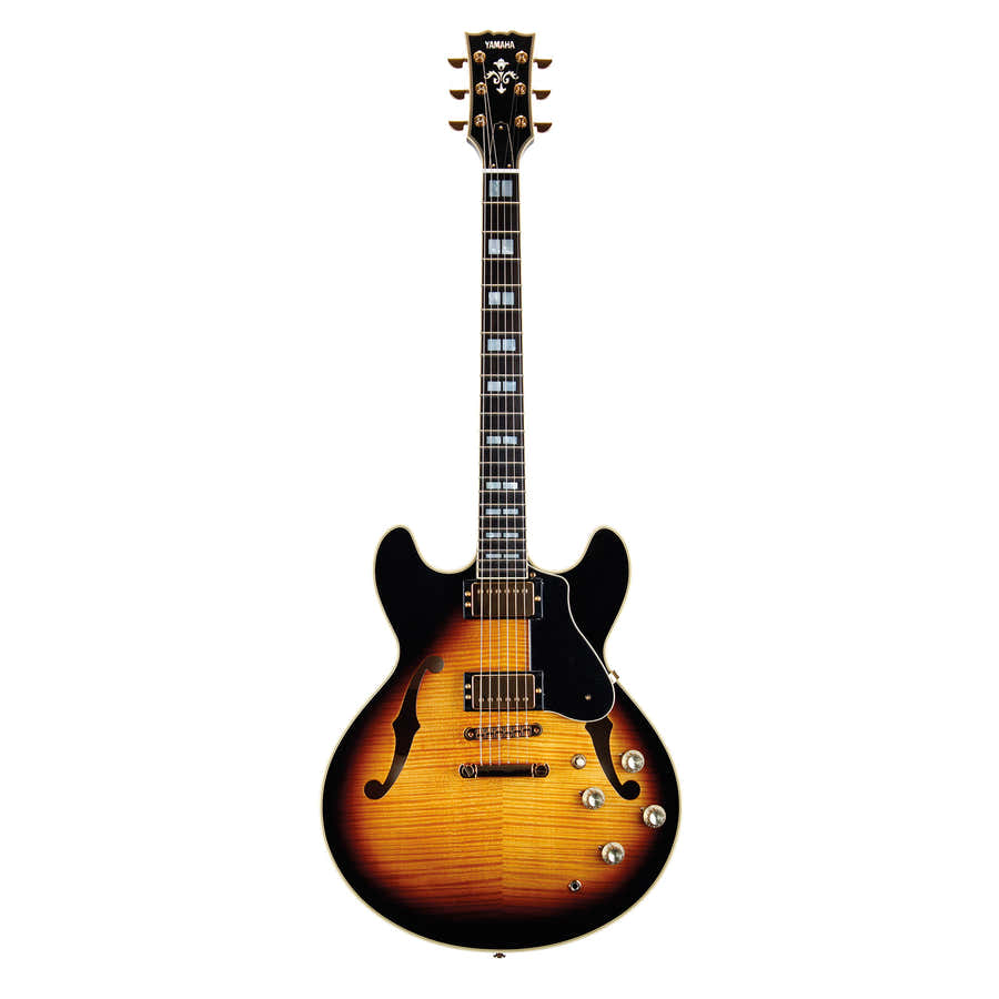 Sa2200 Bruin Sunburst