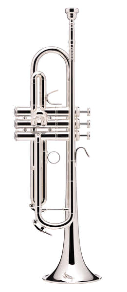 B&S Prodige Bes Verzilverde (Omgekeerde Buis) - BS210LR-2-0