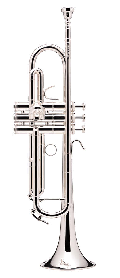 Prodige Bes Verzilverde (Omgekeerde Buis) - BS210LR-2-0