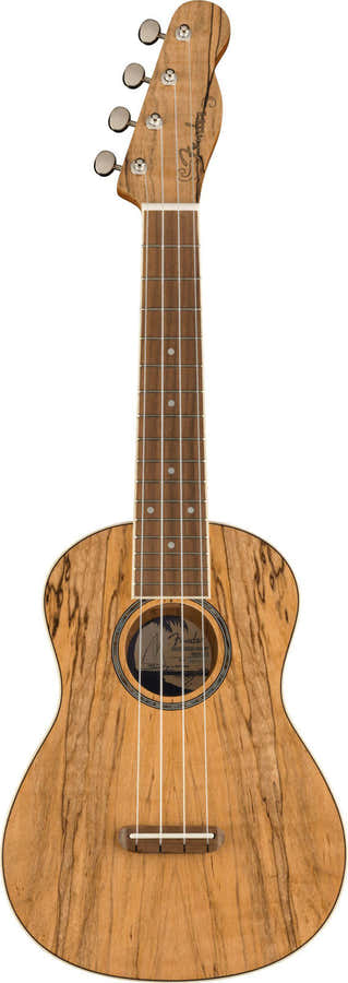 Zuma Uke Exotic Concert Wn Spalted Maple