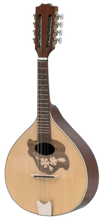 Platte Mandoline Pro Arte Model 2 Hoogglans
