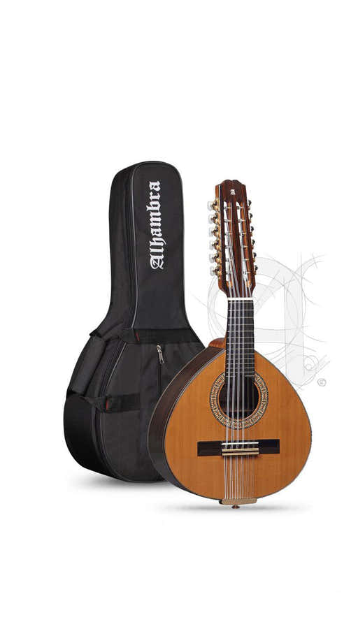 Conservatory 4P Bandurria + 9531 Gigbag