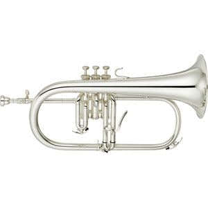 YFH8310ZS Custom Z Bes Zilver