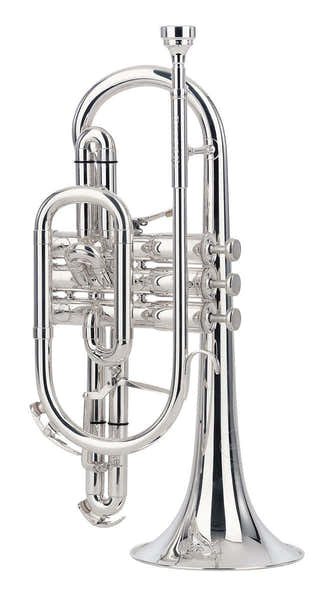 Besson Sovereign Bes Verzilverд - BE928G-2-0