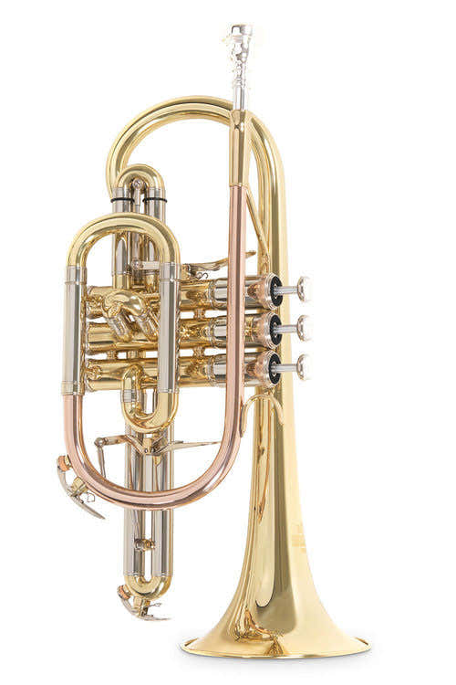 Cornet Bes Roy Benson CR-302