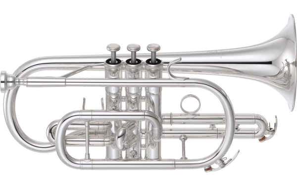 YCR6335SII Bes Verzilverde