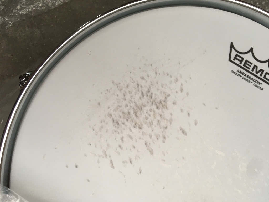 PRESIDENT PHENOLIC ROCK 22 PEARL WHITE OYSTER DRUM SET - B Stock