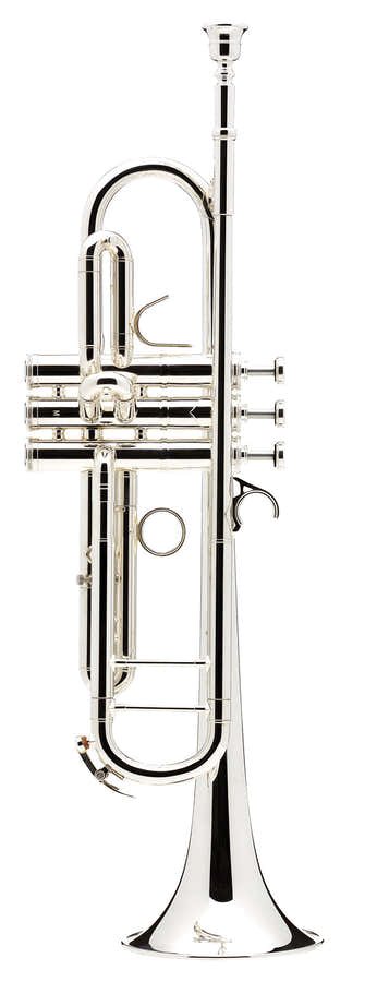 Confluence Bes Verzilverde - AC335BM-2-0