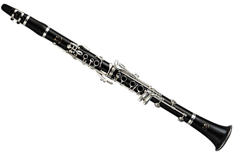 YCL650 Bes (17 Verzilverde Kleppen)