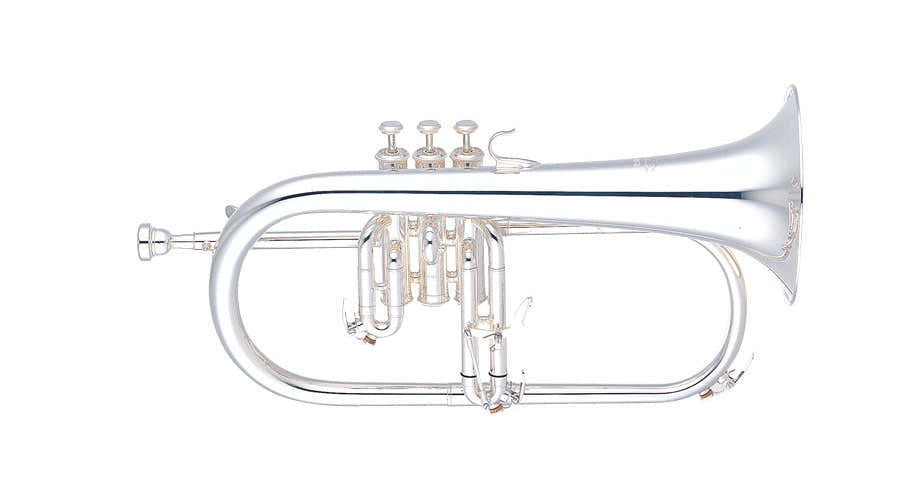 YFH631GS Bes Verzilverda
