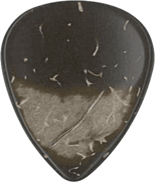Dugain GUITAR COCKLE COCONUT