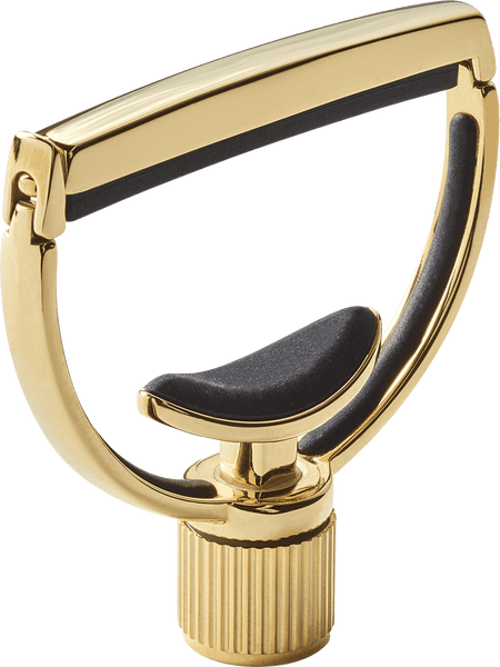 G7th Heritage Gitaar Style 1 Standaard Goud
