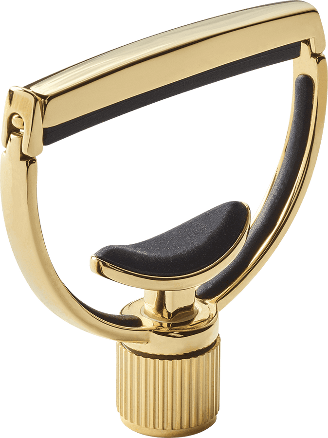 Heritage Gitaar Style 1 Standaard Goud