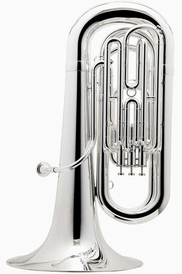 Prodige Bes Verzilverd - BE187-2-0