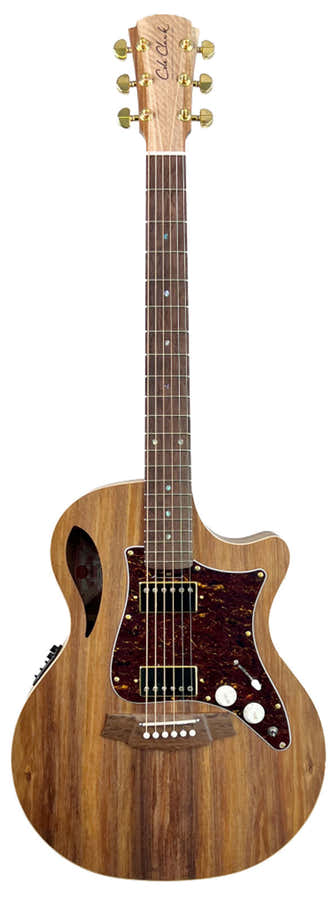 Tl2Ec-Blbl-Hh Case