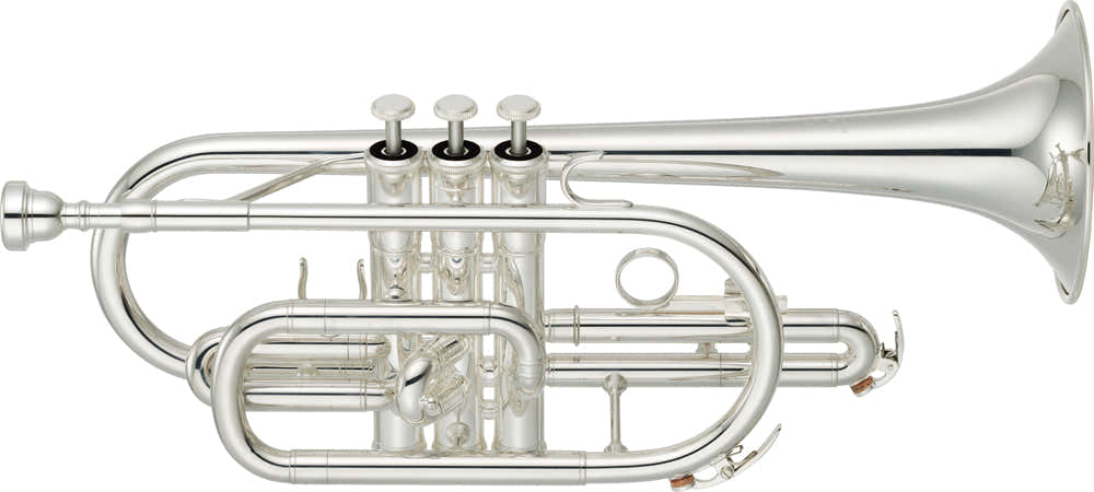 YCR2310III Bes Verzilverde