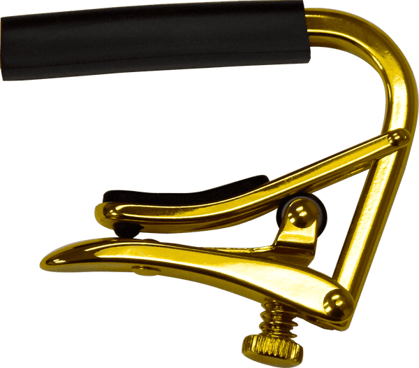 Goud banjo