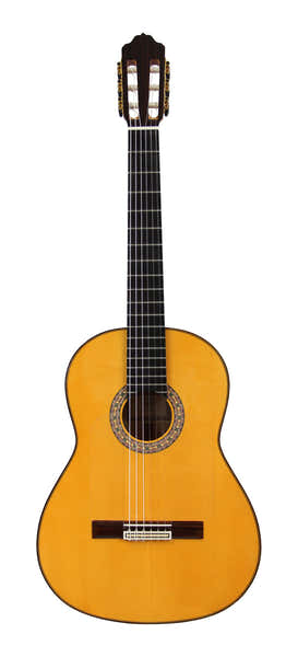 Esteve 6F Spruce Top