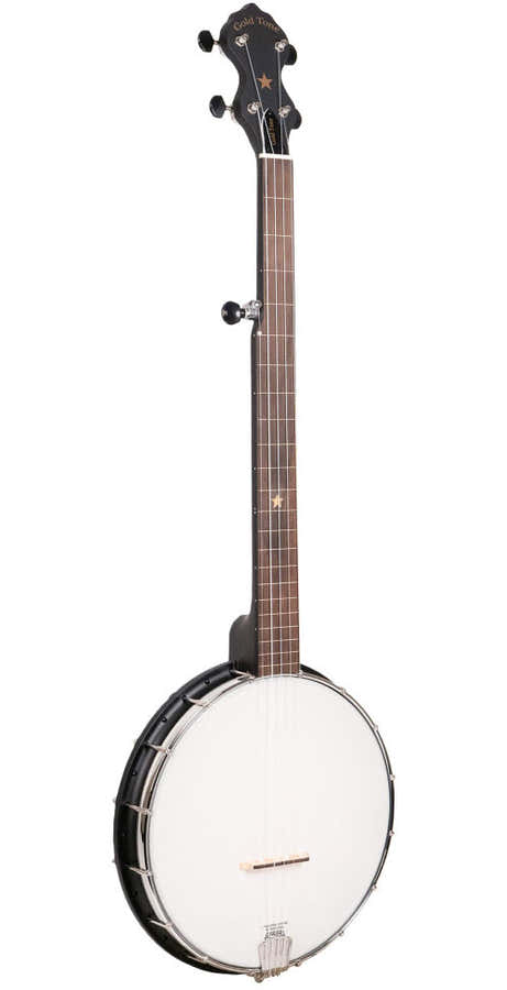 Banjo 5 Open Back Nylgut Fretless