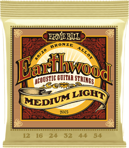 2003 ACOUSTIC EARTHWOOD BRONZE 12 54