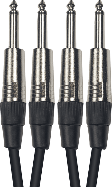 K08 2 X 1/4 PHONE TO 2 X 1/4 PHONE MALE 10 FT./ 3 M.