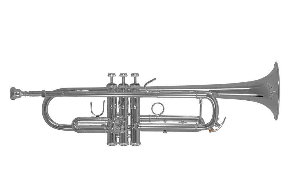 TR450S - Bes Verzilverde
