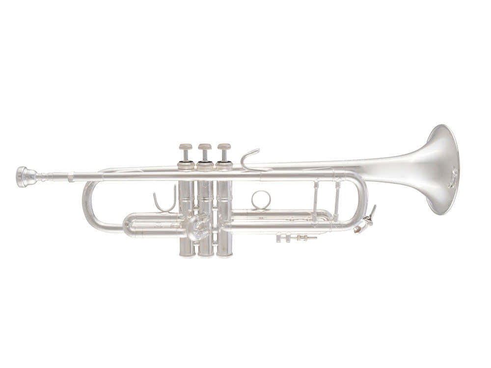 180S-37 Stradivarius - Bes Verzilverd