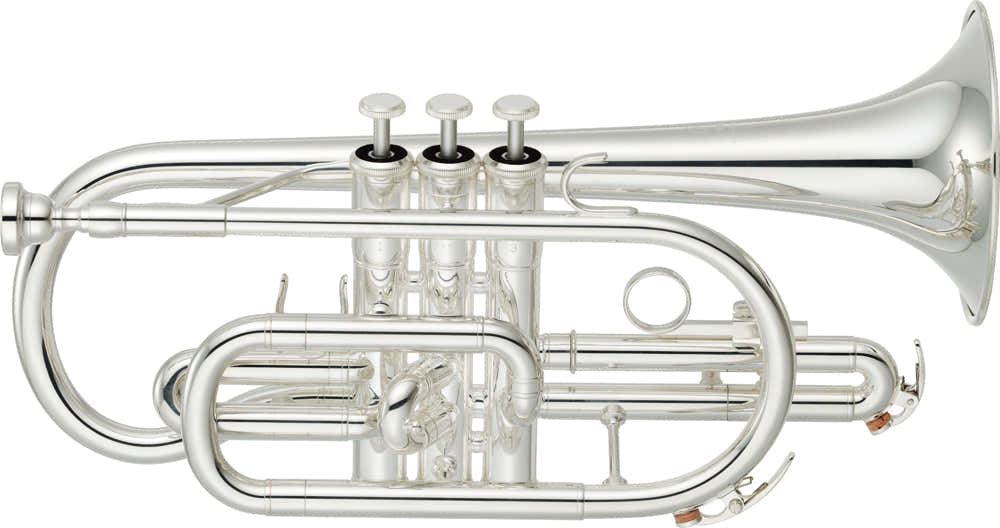 YCR2330SIII Bes Verzilverde